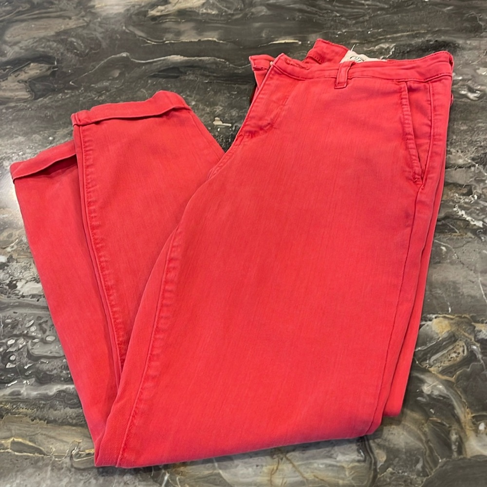 Cosmic Blue Love Skinny Ankle Pants 29